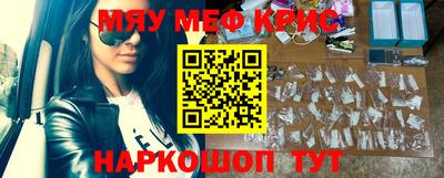 индика Камышлов