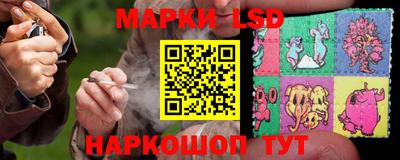 индика Камышлов
