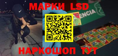 индика Камышлов