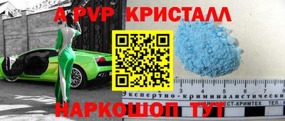 индика Камышлов