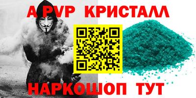 индика Камышлов