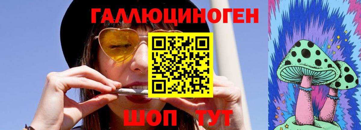 Псилоцибиновые грибы Cubensis  Вход с VPN  Шатура 